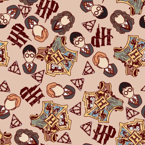 HP Wizard Collage