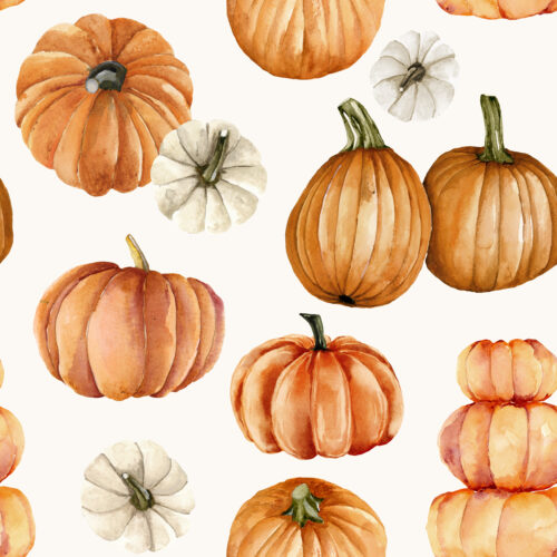 Hip Kid Design - 9581650 rrRustic Fall Pumpkins Cream