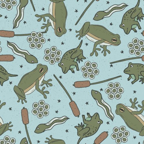 Aqua Frog Pond