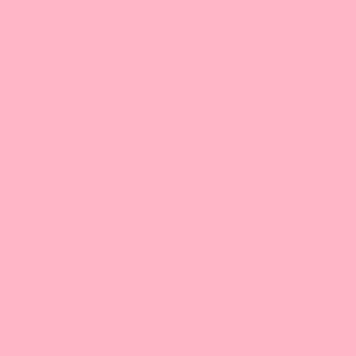 Krystal Winn - Back2school Solid Panel Pink