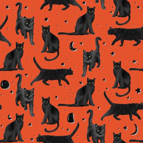 Lindsay Anne - Black Cats Prowl Bright Bittersweet