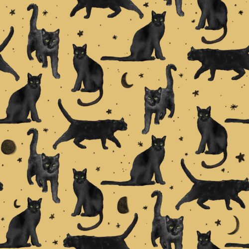Lindsay Anne - Black Cats Prowl   Golden Treat