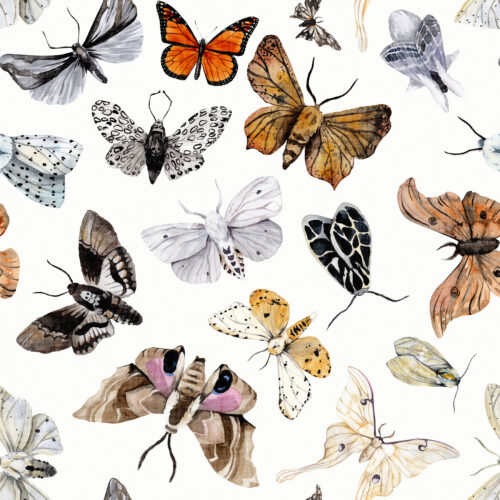 Hip Kid Design - Butterflies and Moths on Spring Wood