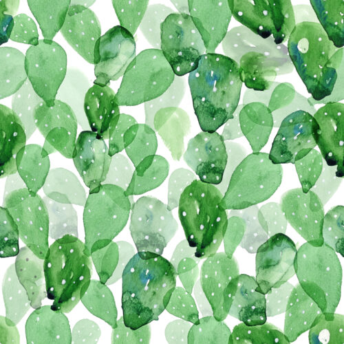 Hip Kid Design - Cactus Cascade