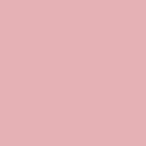 Krystal Winn - Carousel Solid Pink