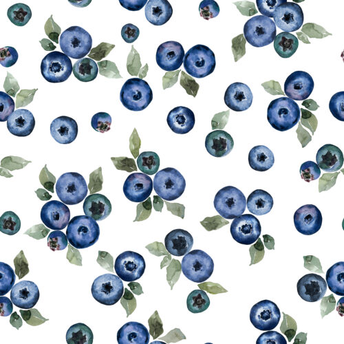 Cottage Blueberries Watercolor