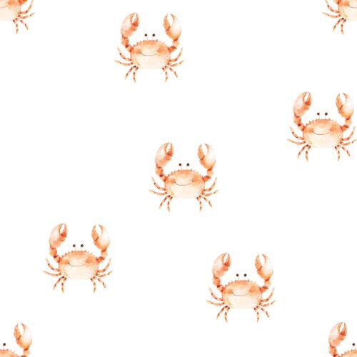 Cute Crab