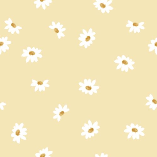Daisy