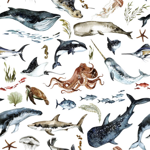 Hip Kid Design - Deep Sea Adventures