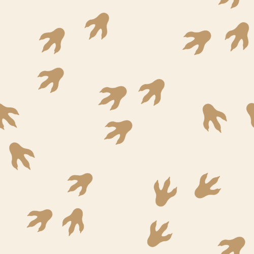 Dinosaur Tracks Boho Colorway