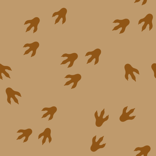 Dinosaur Tracks Midnight Colorway