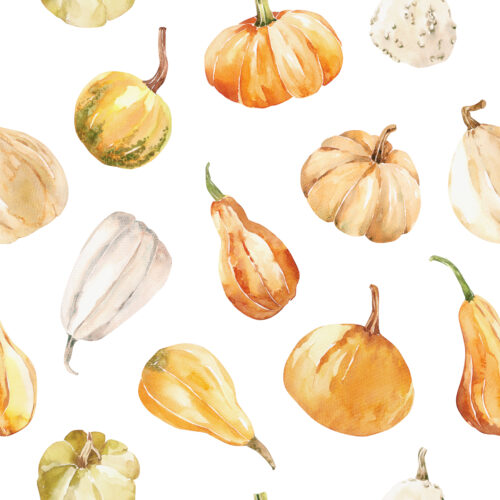 Hip Kid Design - Fall Gourds