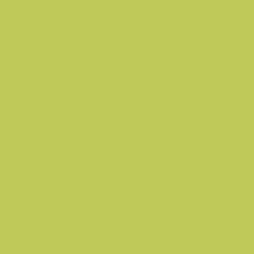 Krystal Winn - Groovy Solid Lime