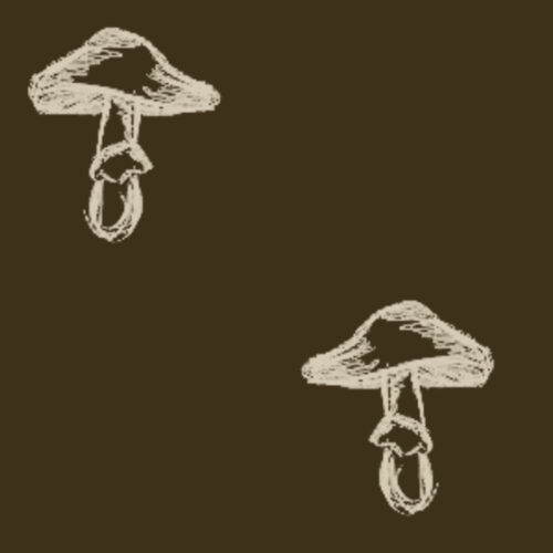 Harvest Mushroom