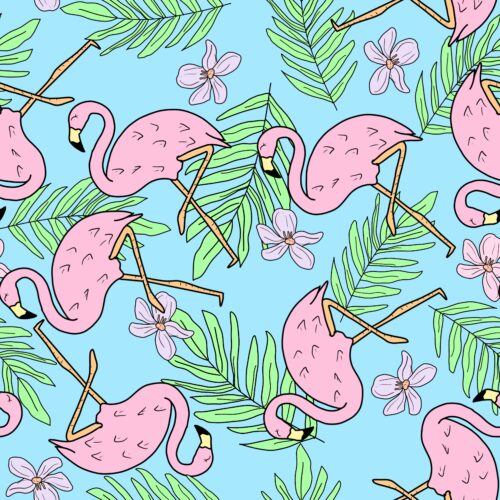 flamingos