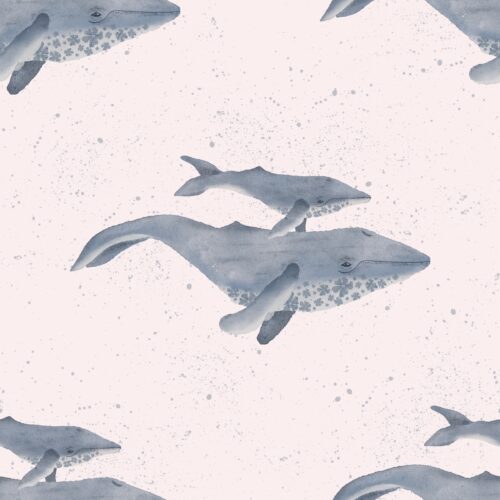 Whales