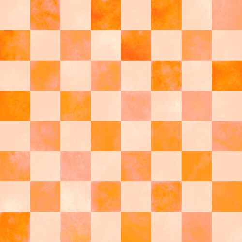 Lindsay Anne - Swim Bright Checks 8