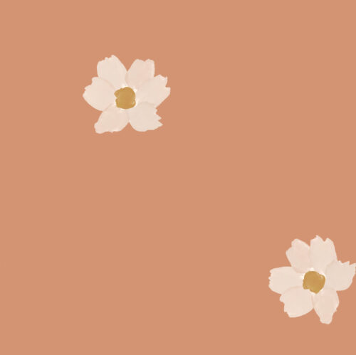 Indy Bloom Designs - Indy Daisy In Rosey Peach