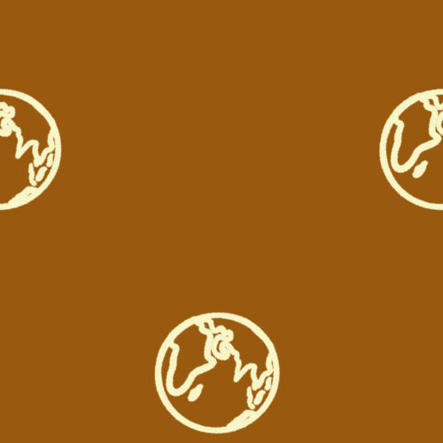 Earth Camel