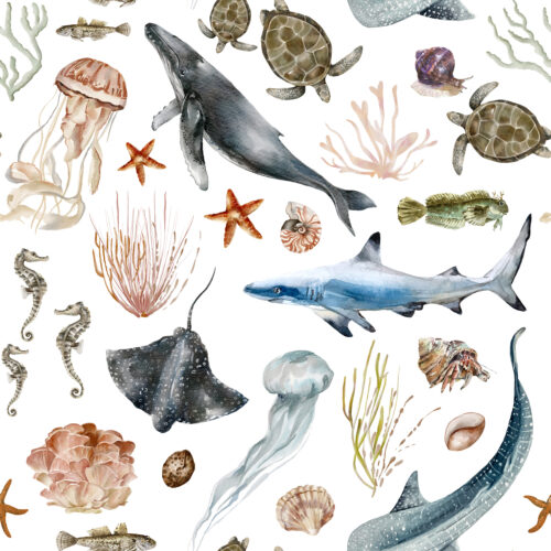 Hip Kid Design - Ocean Fauna