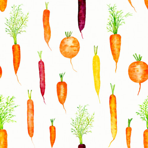 Hip Kid Design - Organic Carrots on Off White