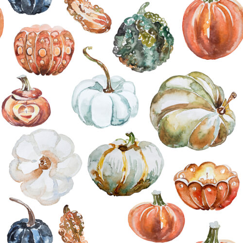 Hip Kid Design - Organic Pumpkins