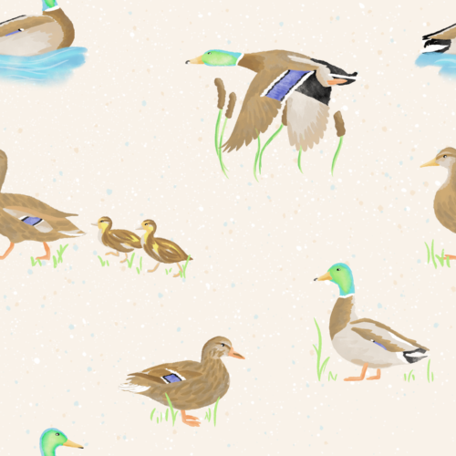 Mallards
