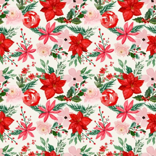 Poinsettia passion