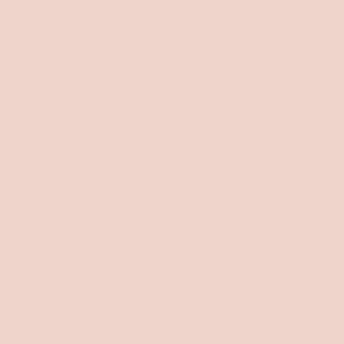 Krystal Winn - Puppy Love Solid Baby Pink