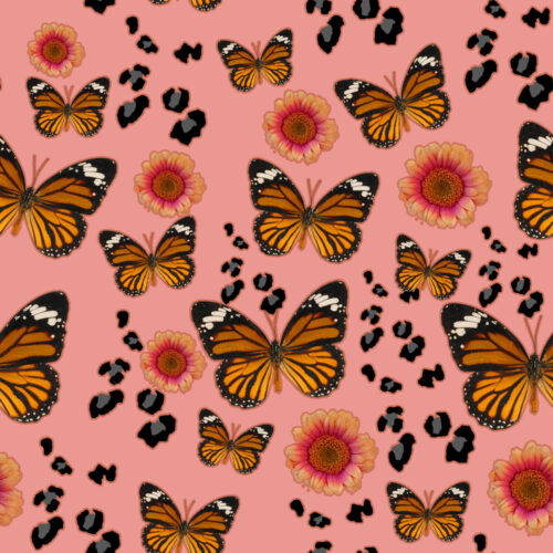 leopard butterfly