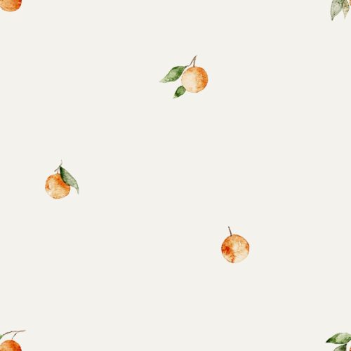 Vanya Minimalist Designs - Small Oranges 02