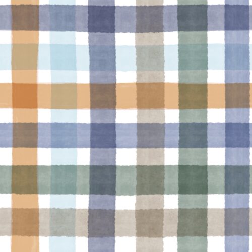 Snow Day Cozy Plaid