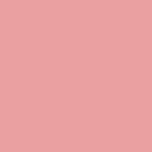 Krystal Winn - Spooky Cute Solid Pink