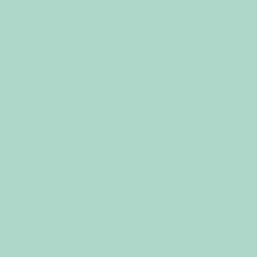 Krystal Winn - Spooky Cute Solid Teal
