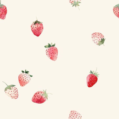 Vanya Minimalist Designs - Strawberries 02