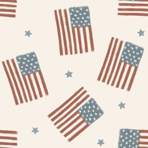 USA Flags-muted