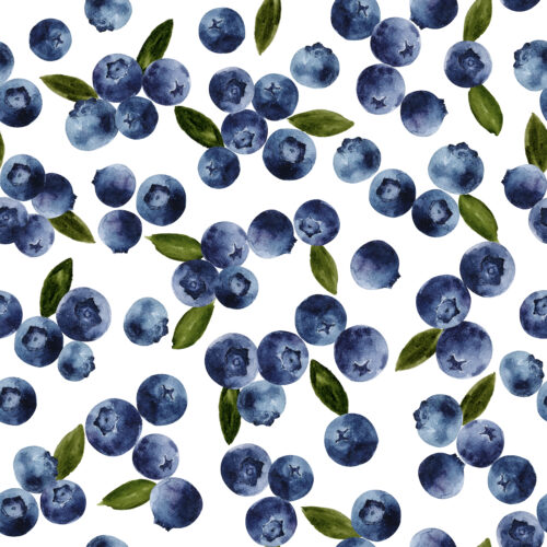 Hip Kid Design - Watercolor Blueberries
