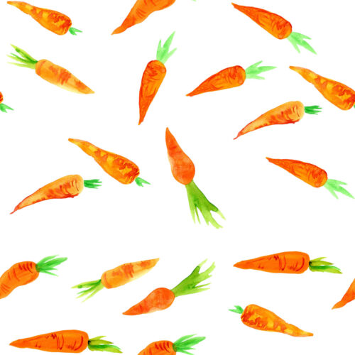 Hip Kid Design - Watercolor Carrots