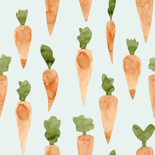 Hip Kid Design - Watercolor Carrots Edgewater
