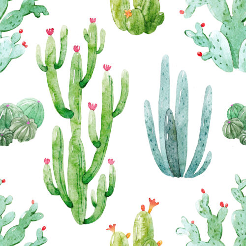 Hip Kid Design - Watercolor Desert Cactus
