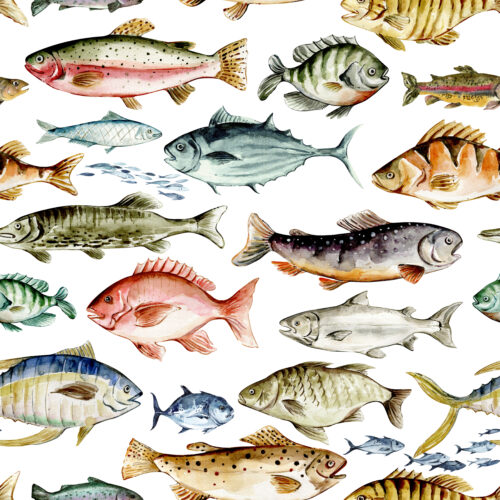 Hip Kid Design - Watercolor Fish