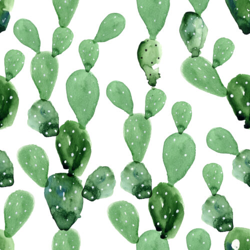 Hip Kid Design - Watercolor Paddle Cactus