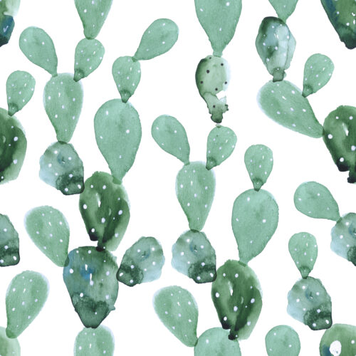 Hip Kid Design - Watercolor Paddle Cactus in Cyan