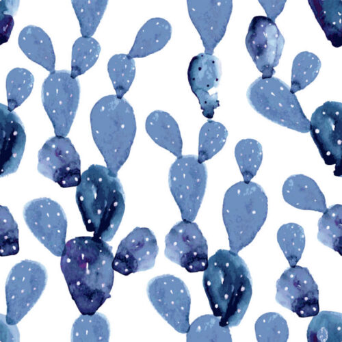 Hip Kid Design - Watercolor Paddle Cactus in Galaxy Blue