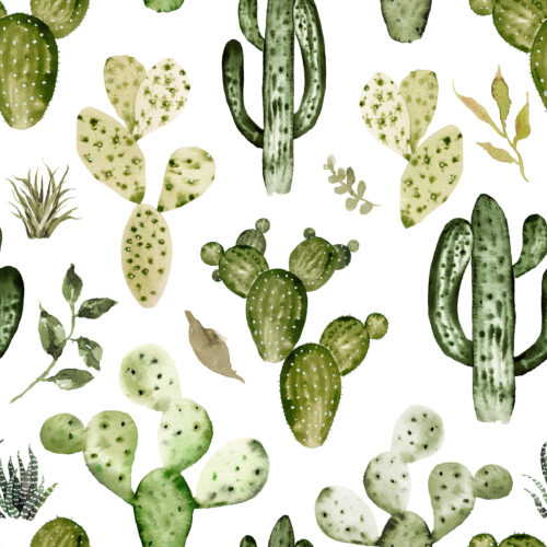 Hip Kid Design - Wild West Cactus (2)