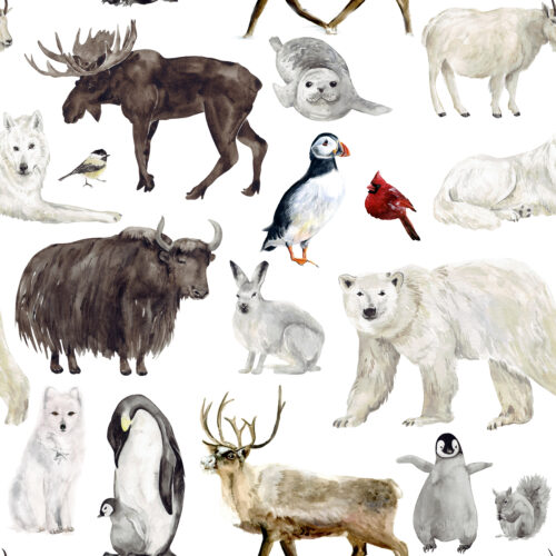 Hip Kid Design - Winter Animals (1)