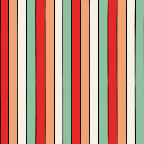 Xmas animals coord