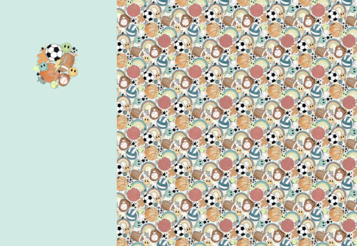 ballboypanel1