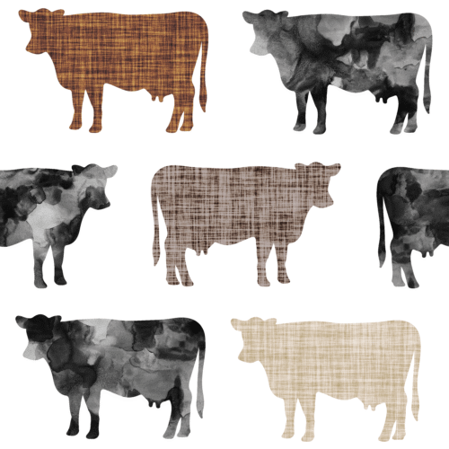Textured Cows
