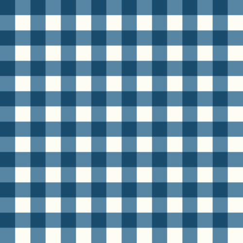 blue gingham 8×8